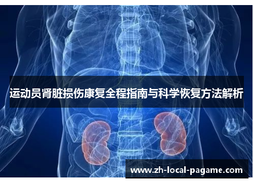 运动员肾脏损伤康复全程指南与科学恢复方法解析